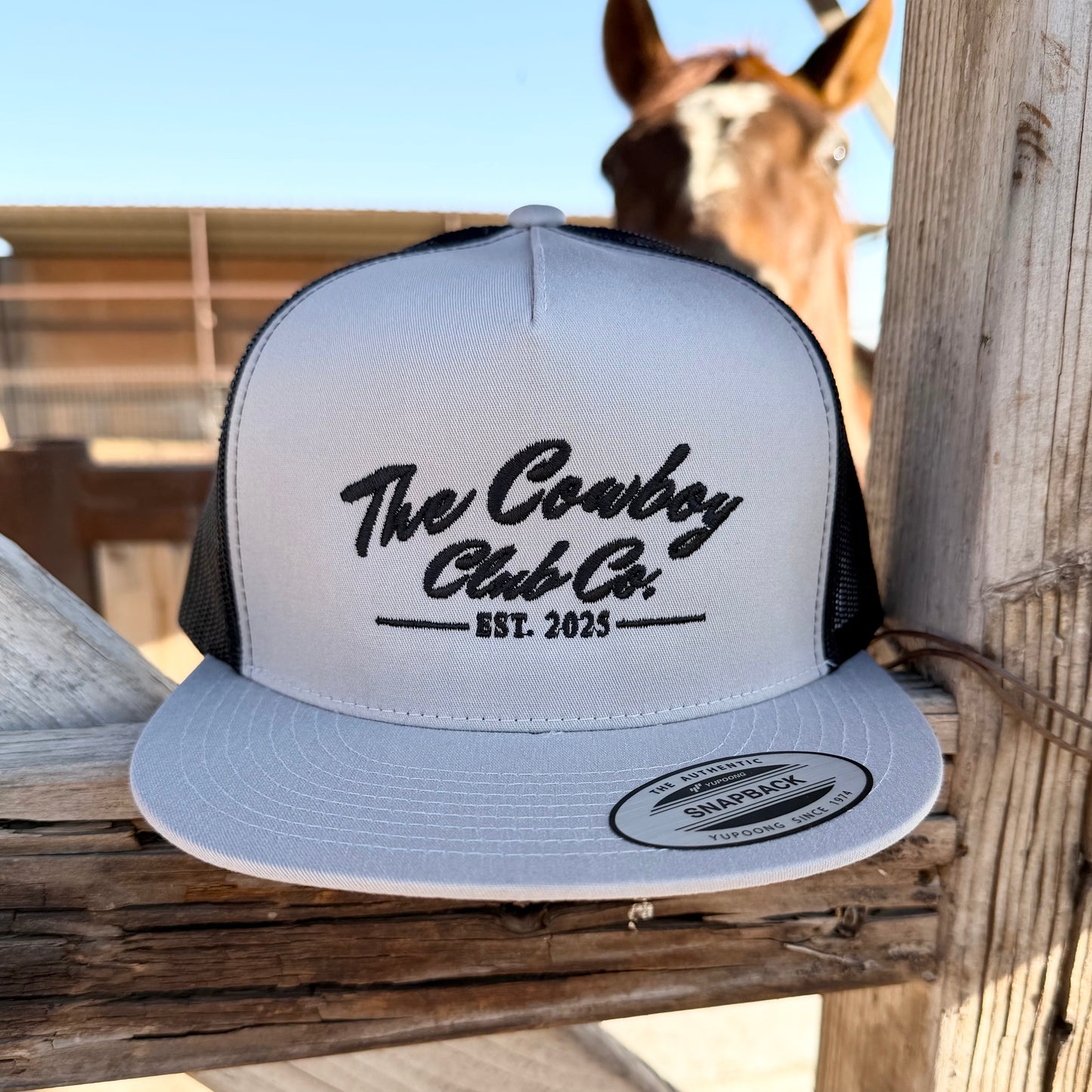 Silver Flat Bill Hat